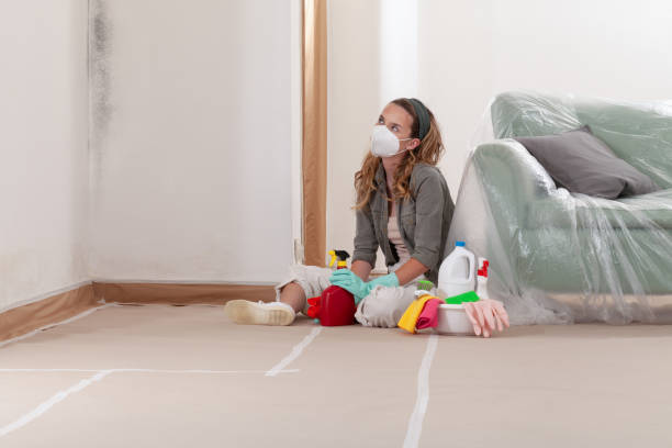 Reliable Mold Cleanup contractor in Edison, GA by WQB Mold Removal
